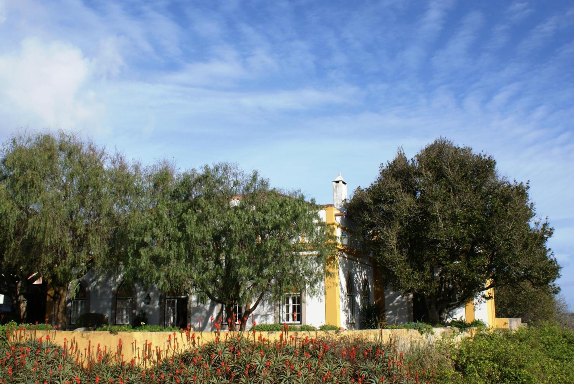 לינה וארוחת בוקר אנטוגויה דה באלייה Casa Do Castelo - Turismo De Habitacao מראה חיצוני תמונה